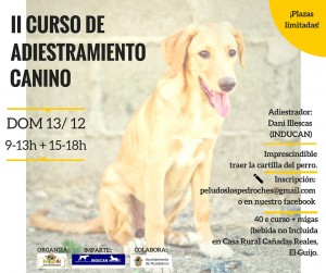 II CURSO DE