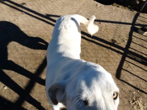 resized_IMG_20151122_115712