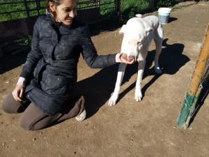 resized_IMG_20151122_115732