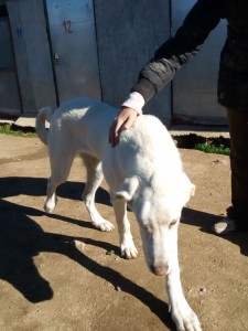 resized_IMG_20151122_120056